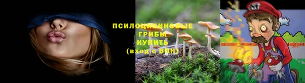 прущие грибы Куйбышев