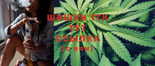 прущие грибы Куйбышев