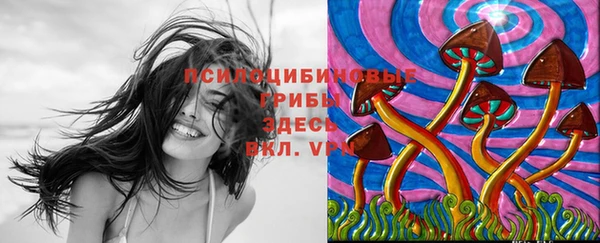 соль курить ск Абаза