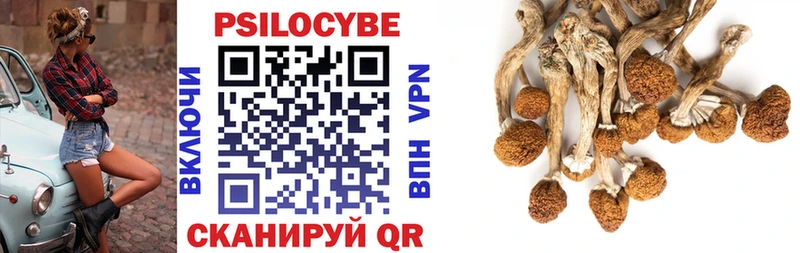 наркотики  mega ССЫЛКА  Псилоцибиновые грибы Psilocybine cubensis  Абаза 